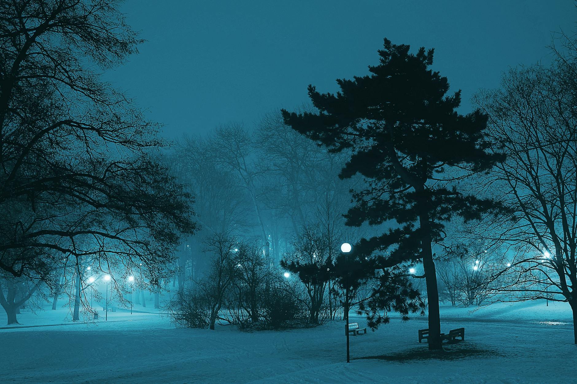 A cold winter night