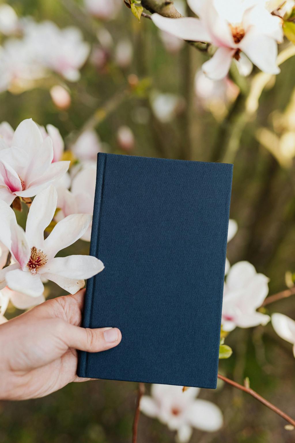 Writing wonders with&nbsp;words